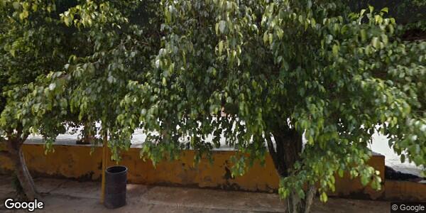 DELEGACIÓN LO ARADO